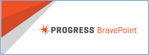 Progress-Bravepoint.png